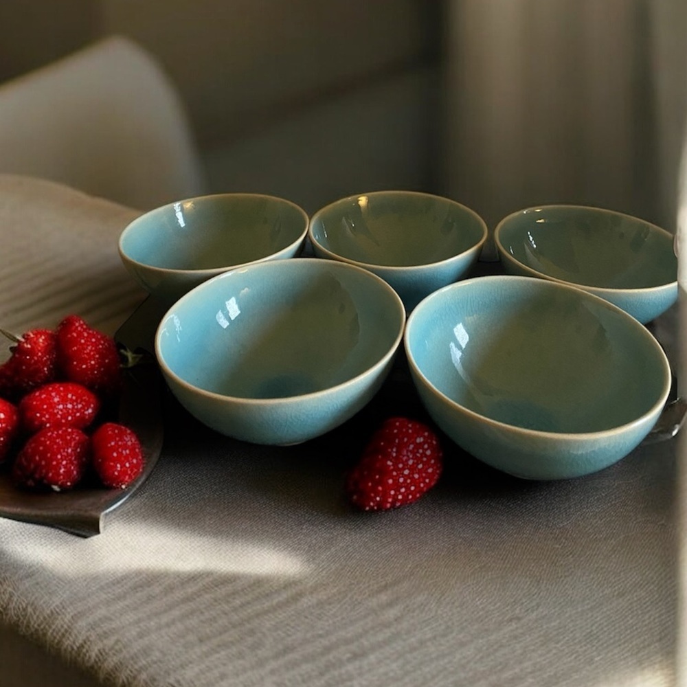 5 West Elm Light Blue Organic Alta Reactive Crackle Finish Soup Cereal Bowls